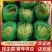 【生菜】优质球生菜基地直发冷链运输净菜加工发整车