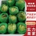 【生菜】精品球生菜产地直发量大从优全国发货
