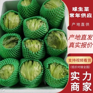 善和圆鑫精品球生菜，基地种植，冷库净菜加工，冷链全国直发
