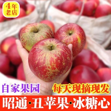 【精选】云南昭通丑苹果核心产区直发新鲜采摘欢迎来电洽谈