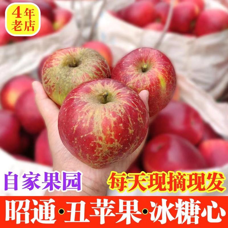 【精选】云南昭通丑苹果核心产区直发新鲜采摘欢迎来电洽谈
