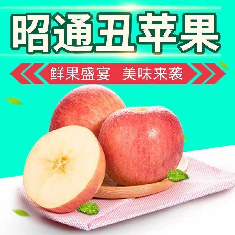 【精选】云南昭通丑苹果核心产区直发新鲜采摘欢迎来电洽谈