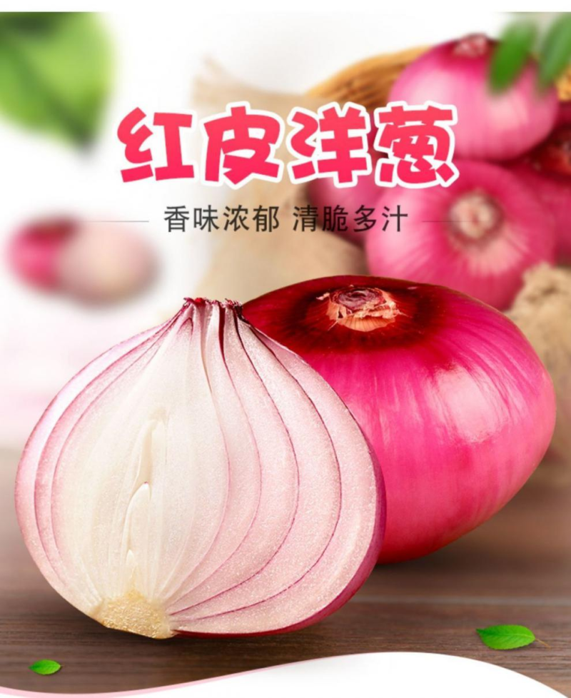 洋葱甘肃精品红皮洋葱货源充足量大从优质量保证欢迎咨询