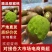 【优质】翠香猕猴桃对接全国、大型商超、批发商、欢迎咨询