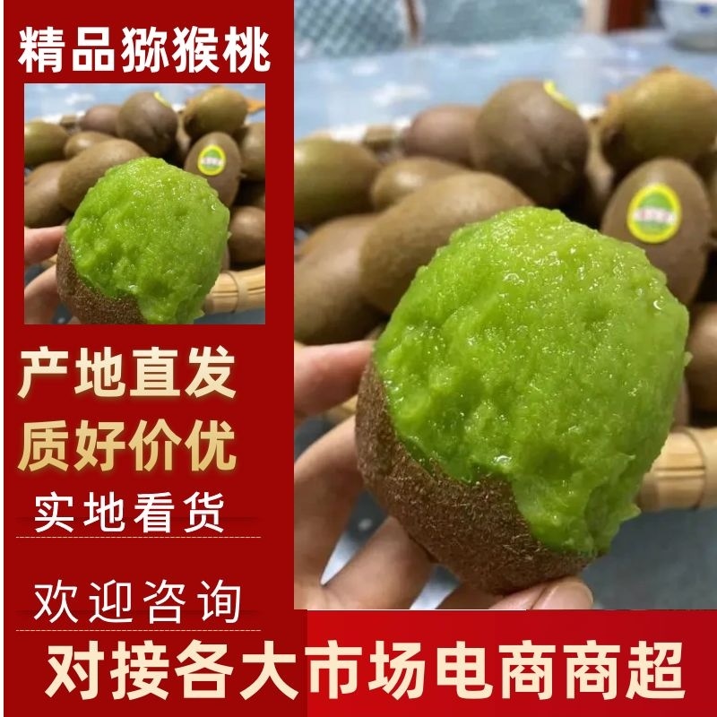 【优质】翠香猕猴桃对接全国、大型商超、批发商、欢迎咨询