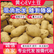 《推荐》黄心ev土豆常磊8号土豆内蒙土豆个头大薯型好