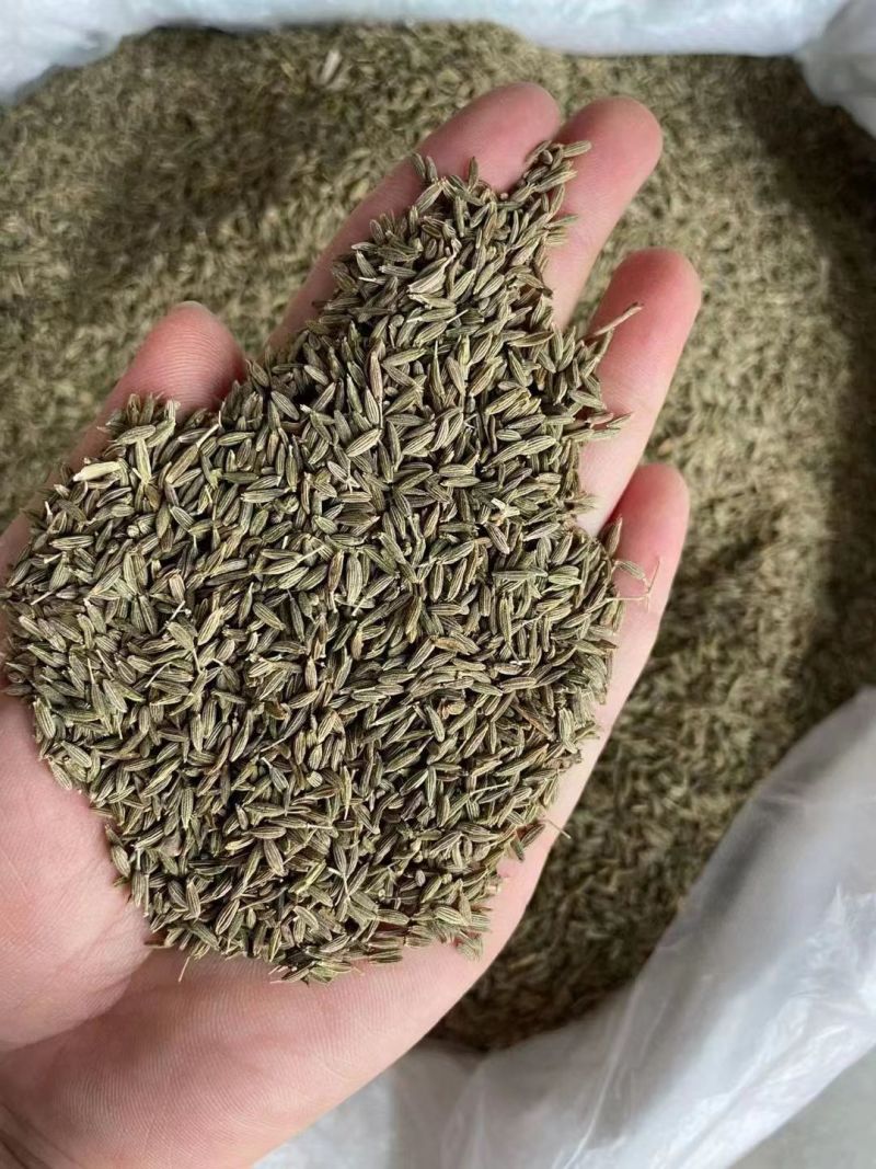 孜然规格齐全！产地直销！大货批发一手货源价格优！