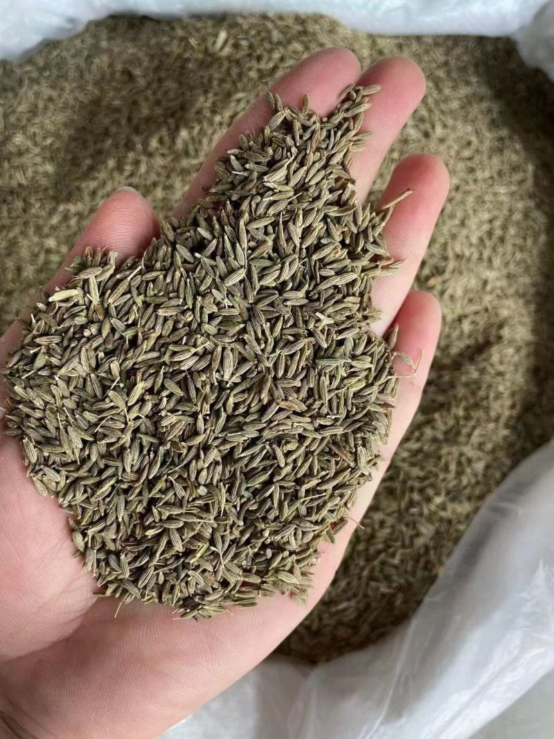 孜然规格齐全！产地直销！大货批发一手货源价格优！