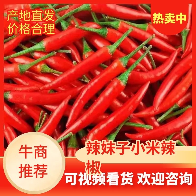 广西辣妹子小米辣椒，产地直供，品质保证新鲜采摘