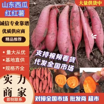 红薯优质西瓜红产地直供保质保量量大从优欢迎联系