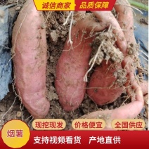 山东烟台烟薯25产地直发烤薯块商品薯对接全国各地
