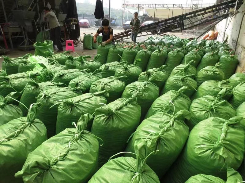 迁西中国板栗博物馆外观