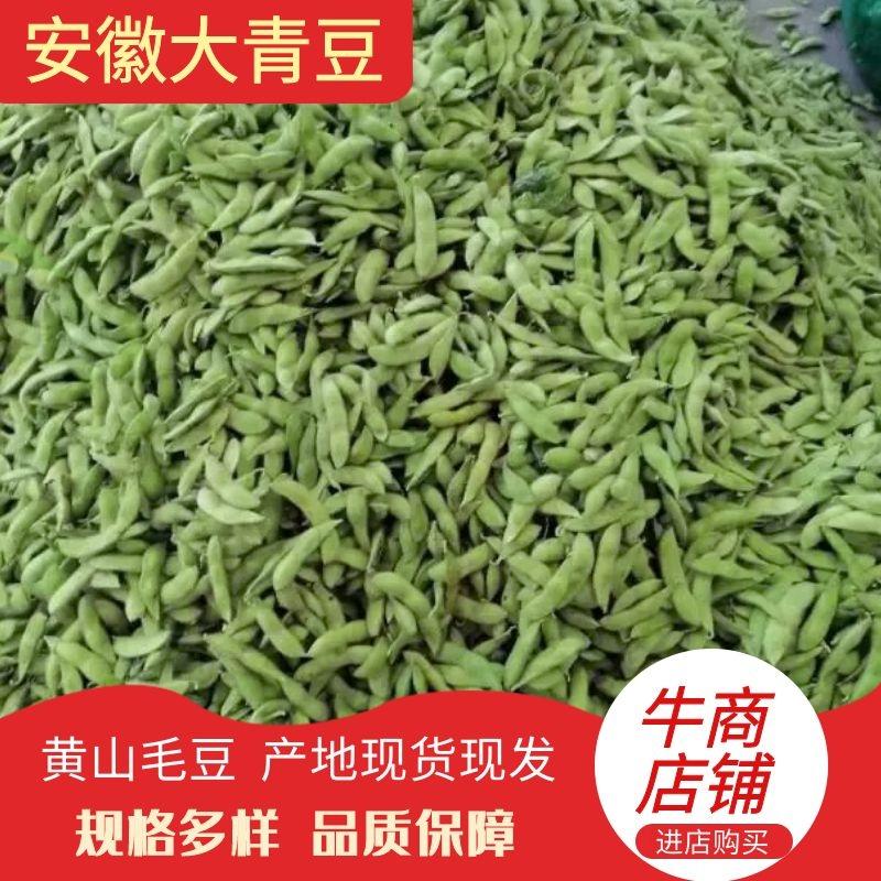 大青豆，安徽毛豆产地现货现发，量大从优，价格公道电联采