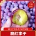 《脆红李》脆红李子个大饱满口感酸甜量大全国发货