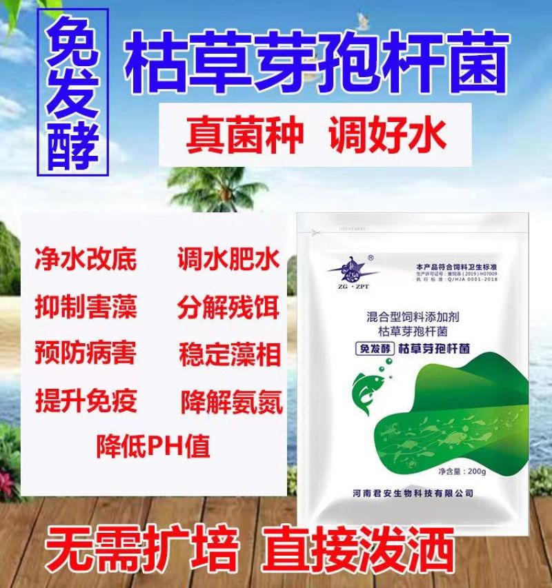 芽孢杆菌