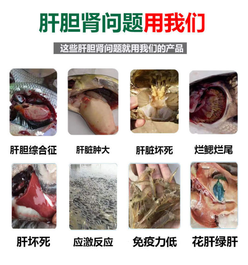 肝胆肾康