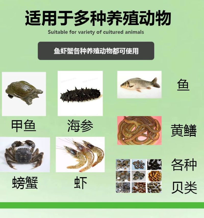 肝胆肾康