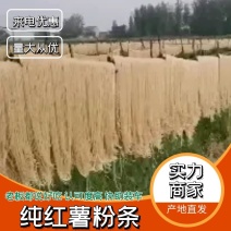 纯红薯粉条，安徽阜阳纯红薯粉条加工厂质量好，价格低