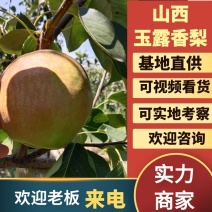 【玉露香梨】皮薄汁水甜对接电商市场商超等各类客户
