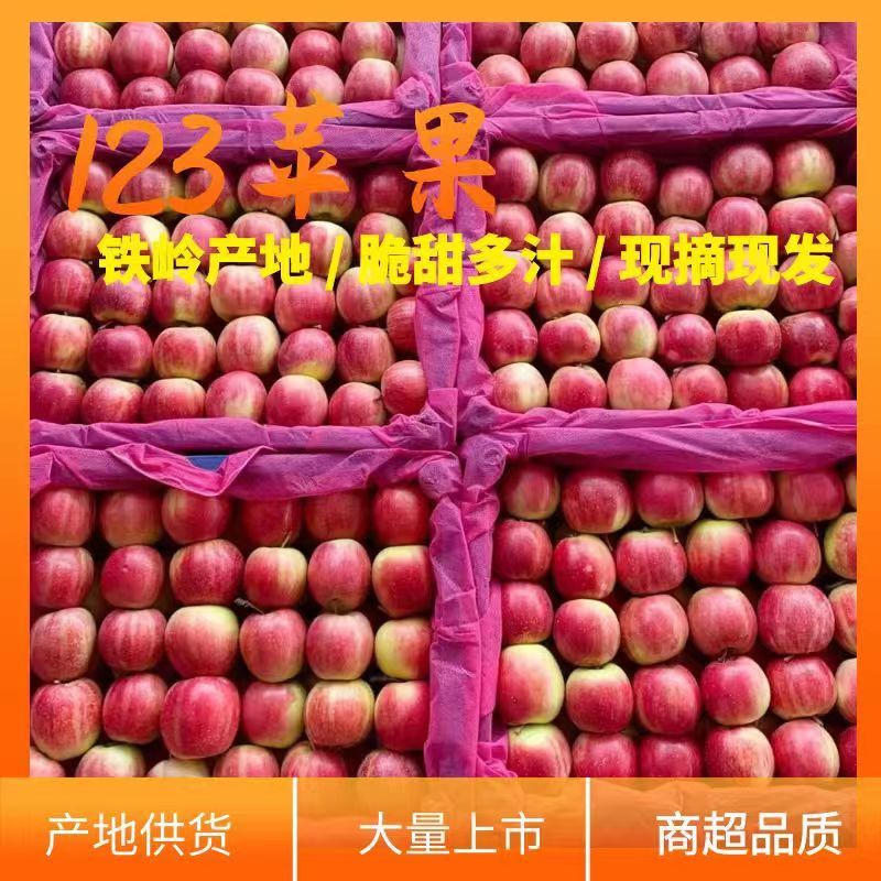 辽宁苹果123苹果自然熟的大量上市，产地供货，一手货源