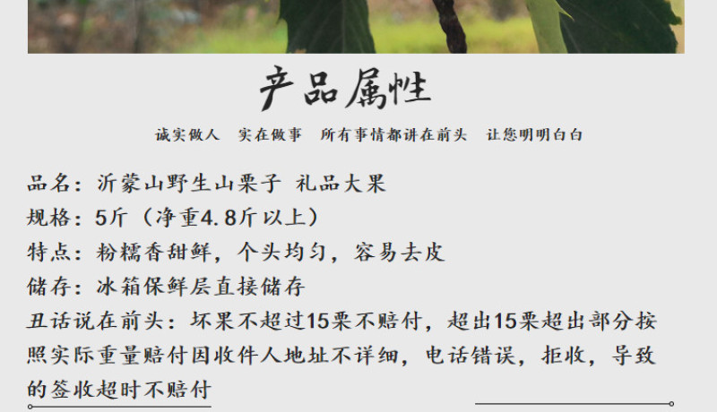 包邮精品油栗一件代发老树毛栗子生栗野生板栗甜栗子供应链