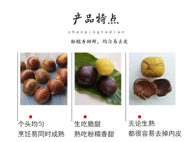 包邮精品油栗一件代发老树毛栗子生栗野生板栗甜栗子供应链