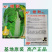 艳秋大黄心大白菜种子春秋冬季菜种孑白菜籽菜种籽四季蔬菜种
