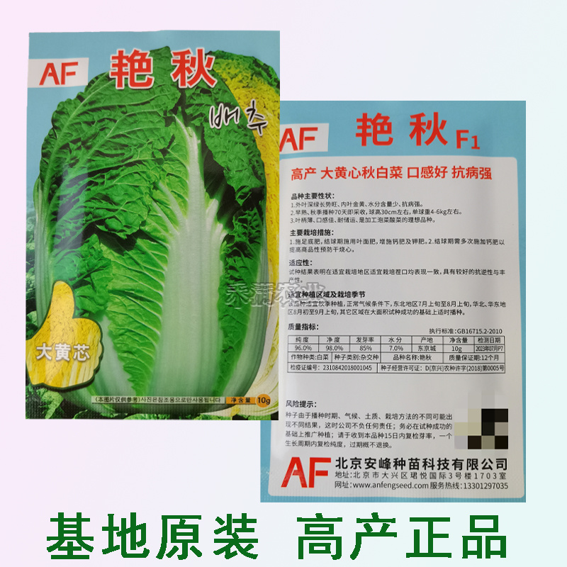 艳秋大黄心大白菜种子春秋冬季菜种孑白菜籽菜种籽四季蔬菜种