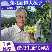 东北生态新鲜大榛子大果颗颗精选皮薄仁大香甜脆