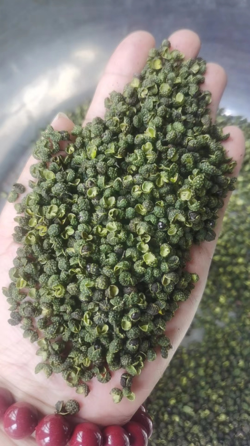 江津青花椒，精选无籽无刺，开口率80%，支持对接全国市场