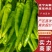 【精品】辣椒尖椒辽宁海城尖椒直供头货价优欢迎咨询