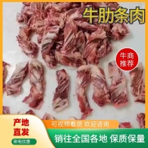 【电话议价牛肋条肉】牛腹肉条山东滨州厂家直销视频拿货电联