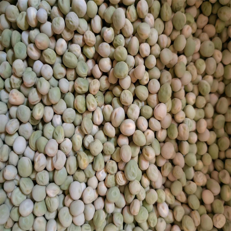豌豆苗种子尖芽苗菜种子豌豆种子龙须豌豆苗种子荷兰豆嫩尖无