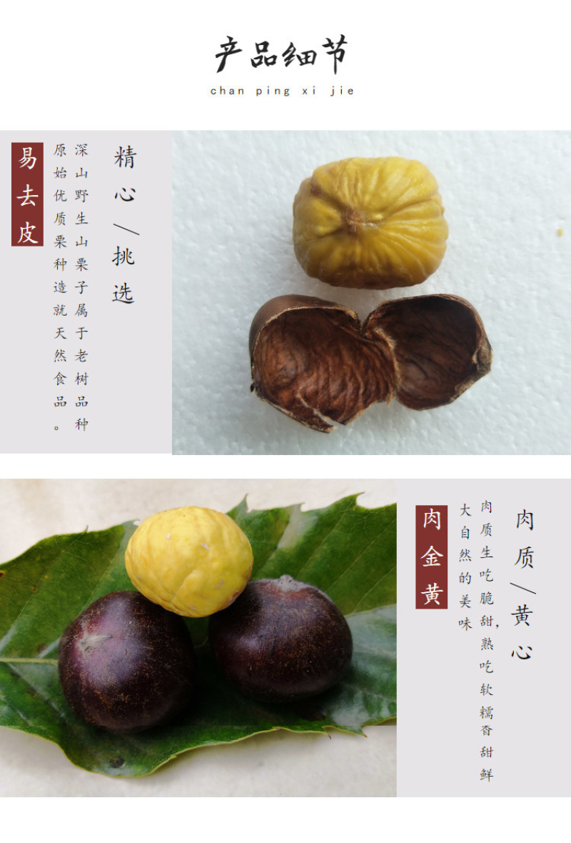 包邮精品油栗一件代发老树毛栗子生栗野生板栗甜栗子供应链