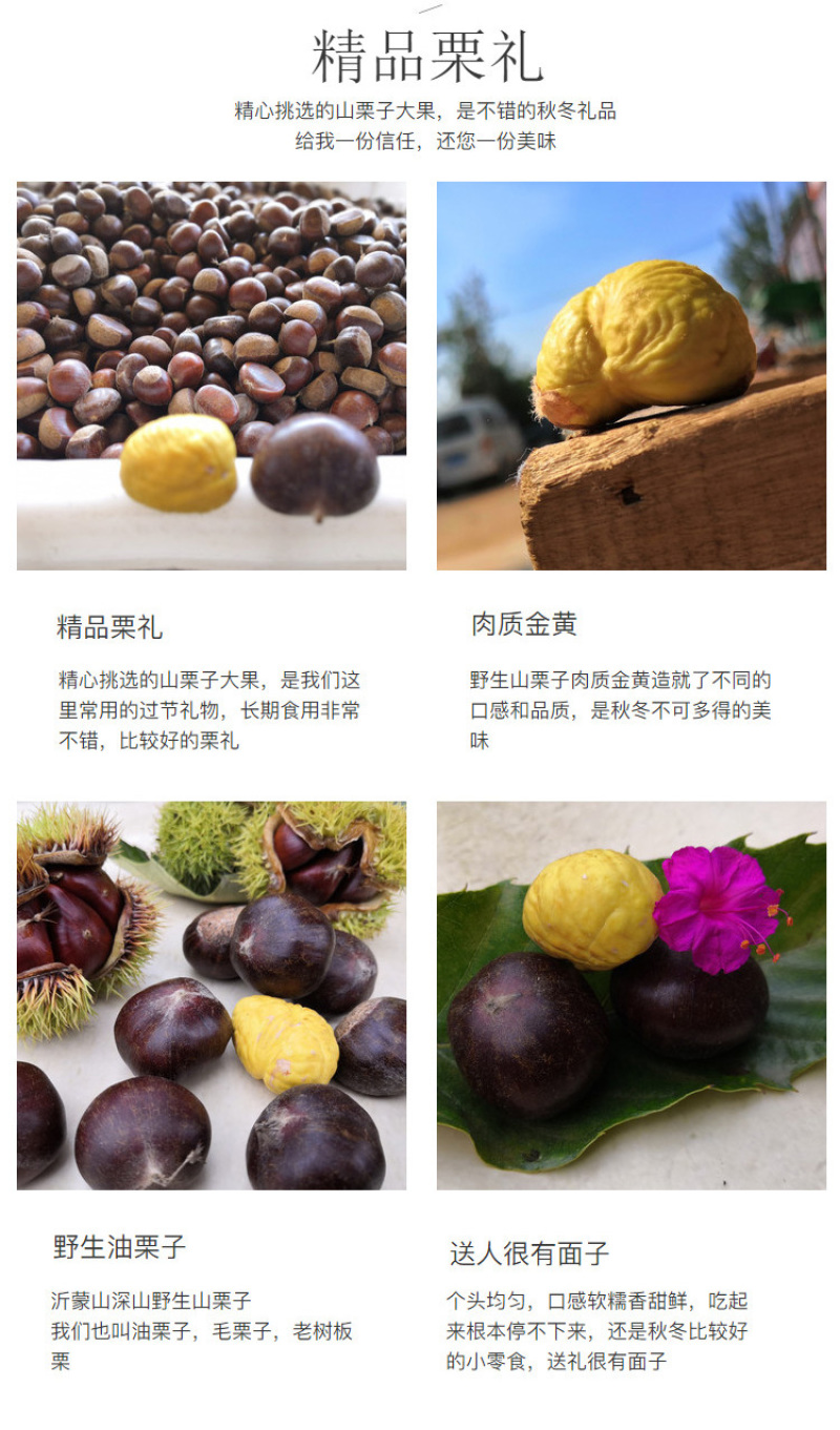 包邮精品油栗一件代发老树毛栗子生栗野生板栗甜栗子供应链