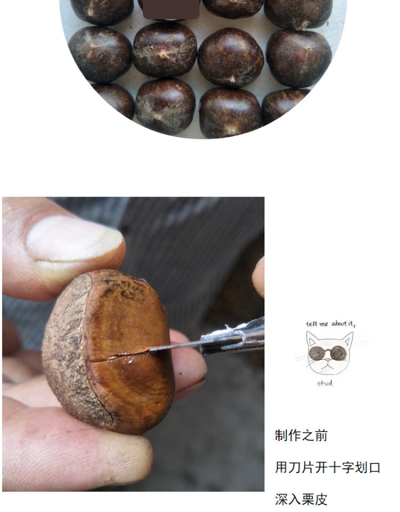 包邮精品油栗一件代发老树毛栗子生栗野生板栗甜栗子供应链
