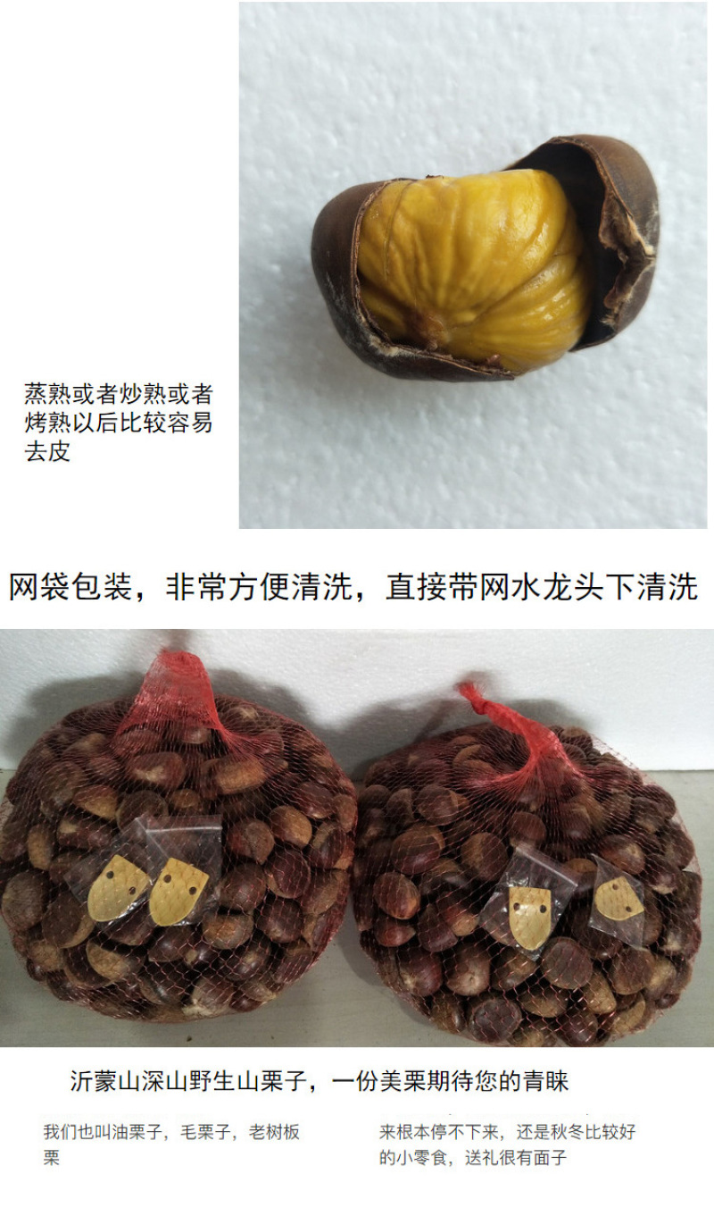 包邮精品油栗一件代发老树毛栗子生栗野生板栗甜栗子供应链