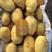 V7土豆对接全国货源充足一手对接市场正在热卖欢迎采购