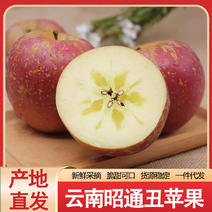 云南特产昭通苹果新鲜应季水果丑苹果糖心苹果各规格