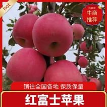 辽宁短枝红富士苹果，色泽鲜艳，品质上乘，欢迎选购。
