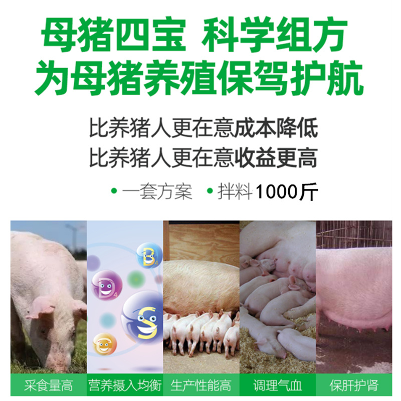 母猪保健饲料套餐母猪四宝产仔多补气血净化排毒母猪4宝