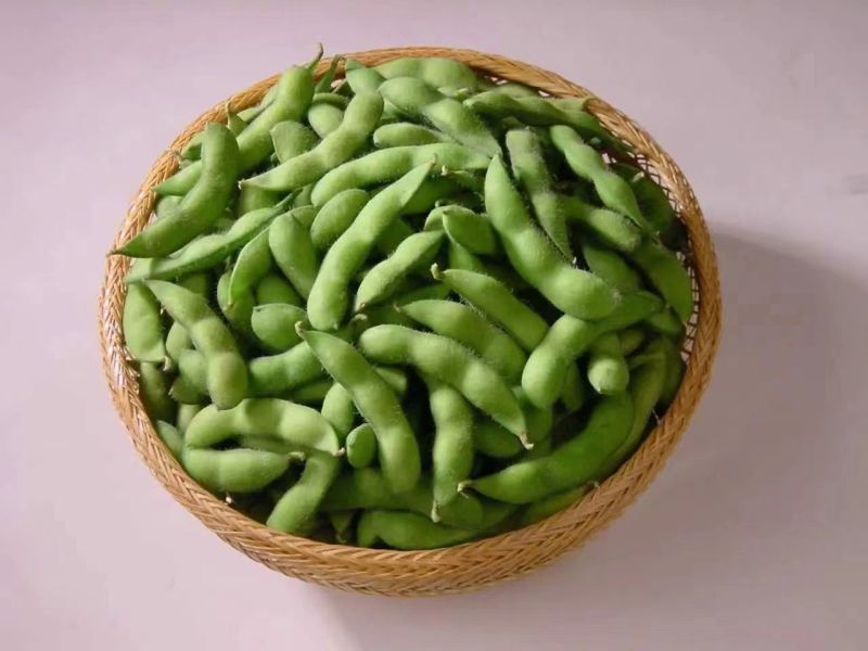 翠绿宝毛豆新鲜毛豆免费看货现摘现发一手货源
