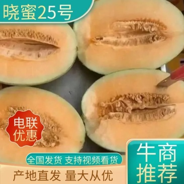 甘肃晓蜜25号哈密瓜产地直发对接市场超市社区团购