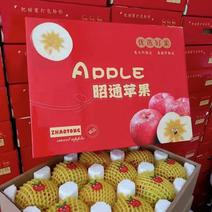 红露苹果精品装小果60-65mm