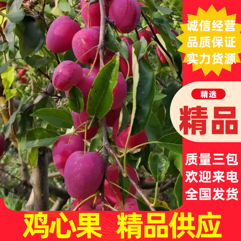 鸡心果，大量供应，支持视频看货，本地一手货源