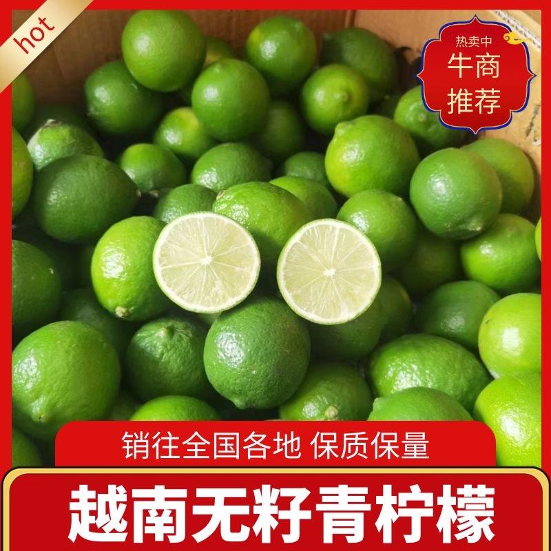 【精选】越南无籽青柠檬大量上市产地直发可零售可批发