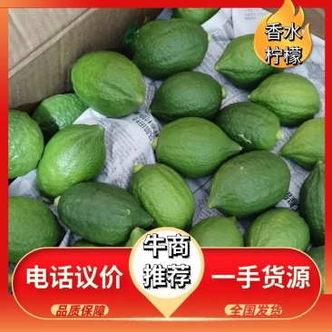 【推荐】广东香水柠檬自产自销可供奶茶店零售批发全国发货