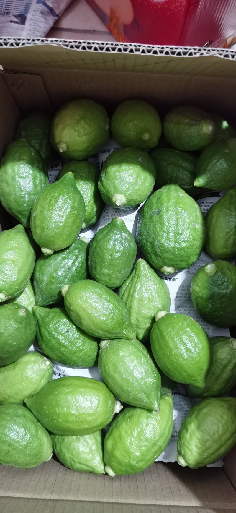 【推荐】广东香水柠檬自产自销可供奶茶店零售批发全国发货