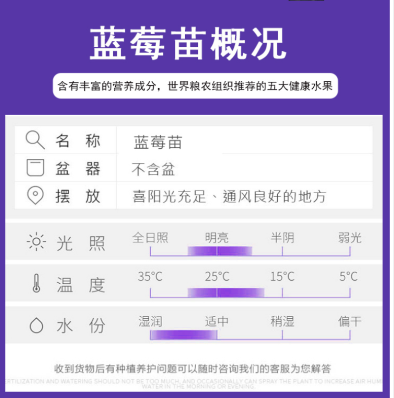 蓝莓树果苗奥尼尔大果蓝莓苗兔眼经典薄雾蓝莓苗盆栽地栽