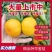【牛代办】四川蜜桔特早蜜桔货源充足欢迎来电咨询诚信报价